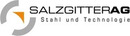 Logo Salzgitter AG in Dortmund